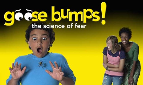 Goose Bumps - The science of Fear