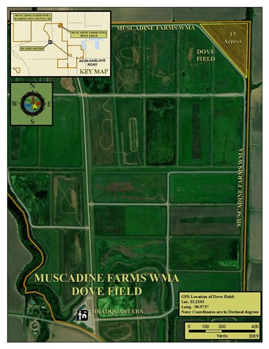 Muscadine Farms WMA Dove Field