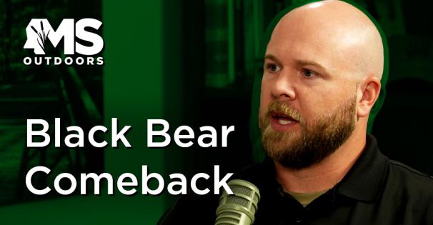 Black Bear Comeback