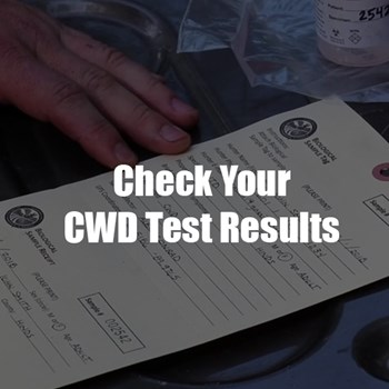 Check your test results
