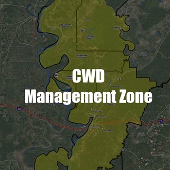 Management zone