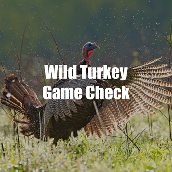 Wild Turkey check button