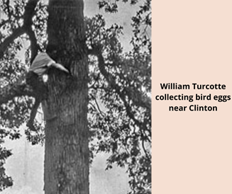 mmns-william-turcotte-collecting-bird-eggs-near-clinton