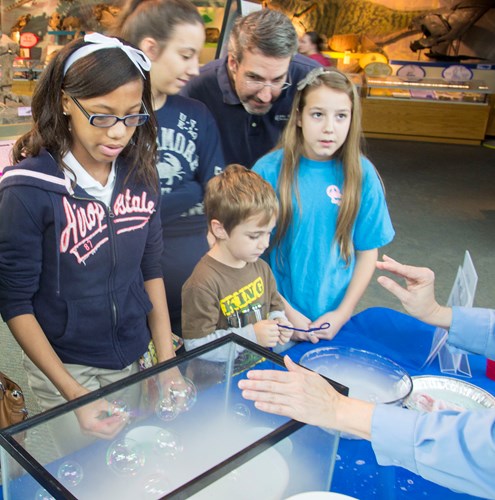 stem with snowflakes at the mississippi museum of natural science