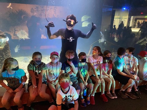 mississippi museum of natural science summer camp