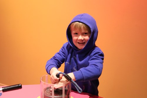 Kids using exhibits