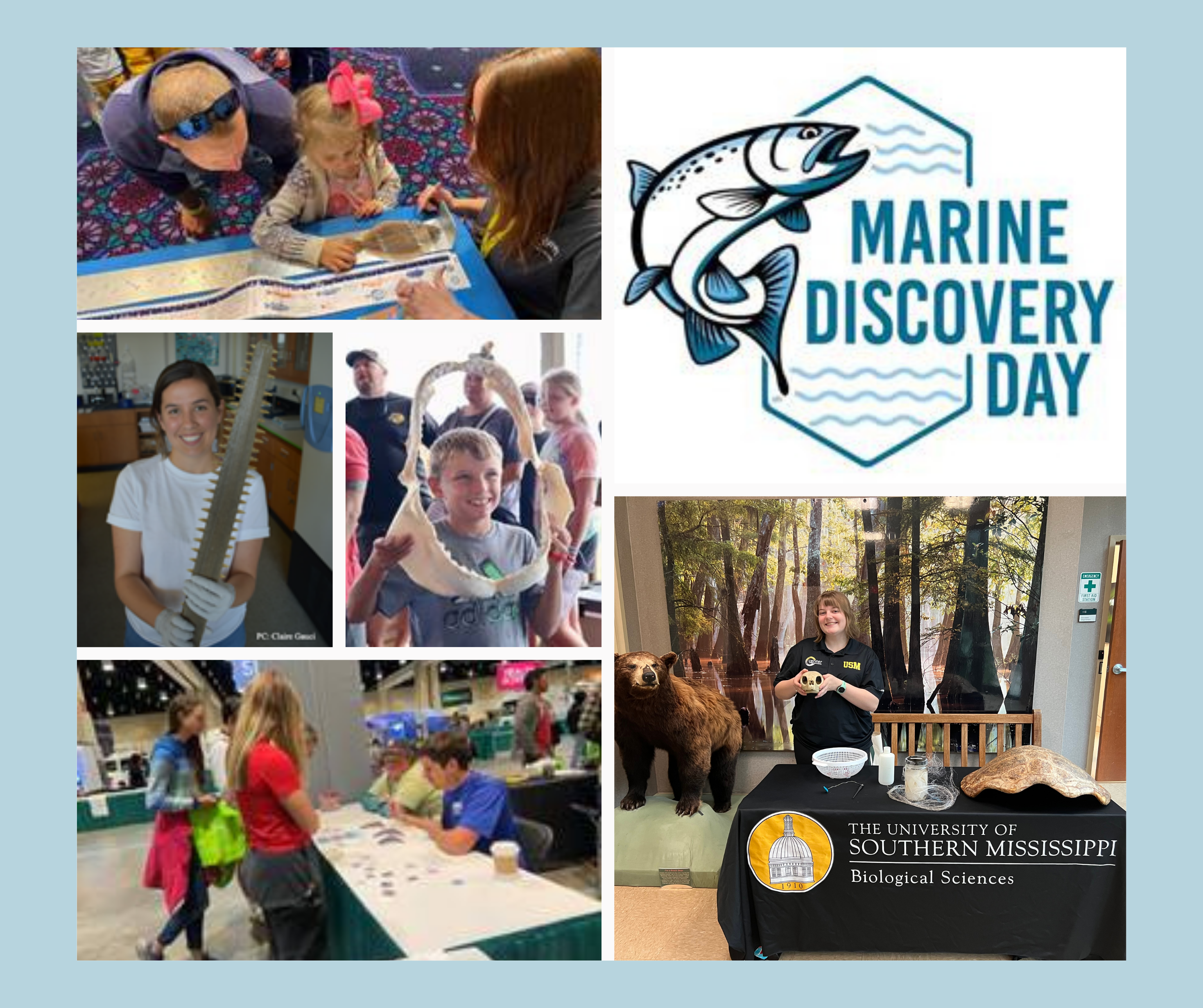 marine discovery day at mississippi museum of natural science