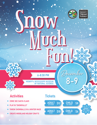 snow much fun poster at mississippi museum of natural science
