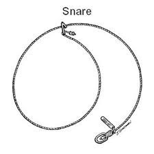 Cable snare with swivel and locking device Trap