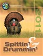 2011 turkey report