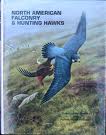 North American Falconry and Hunting Hawks