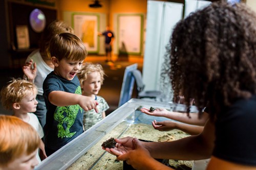 Touch tank at NatureFEST!