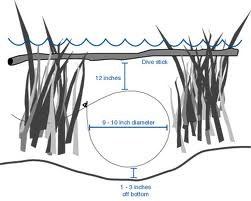 Water-set snare: underwater-set snare diagram