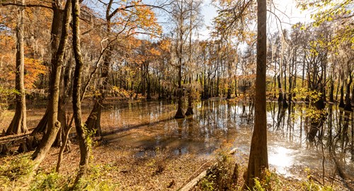 Mayes Lake