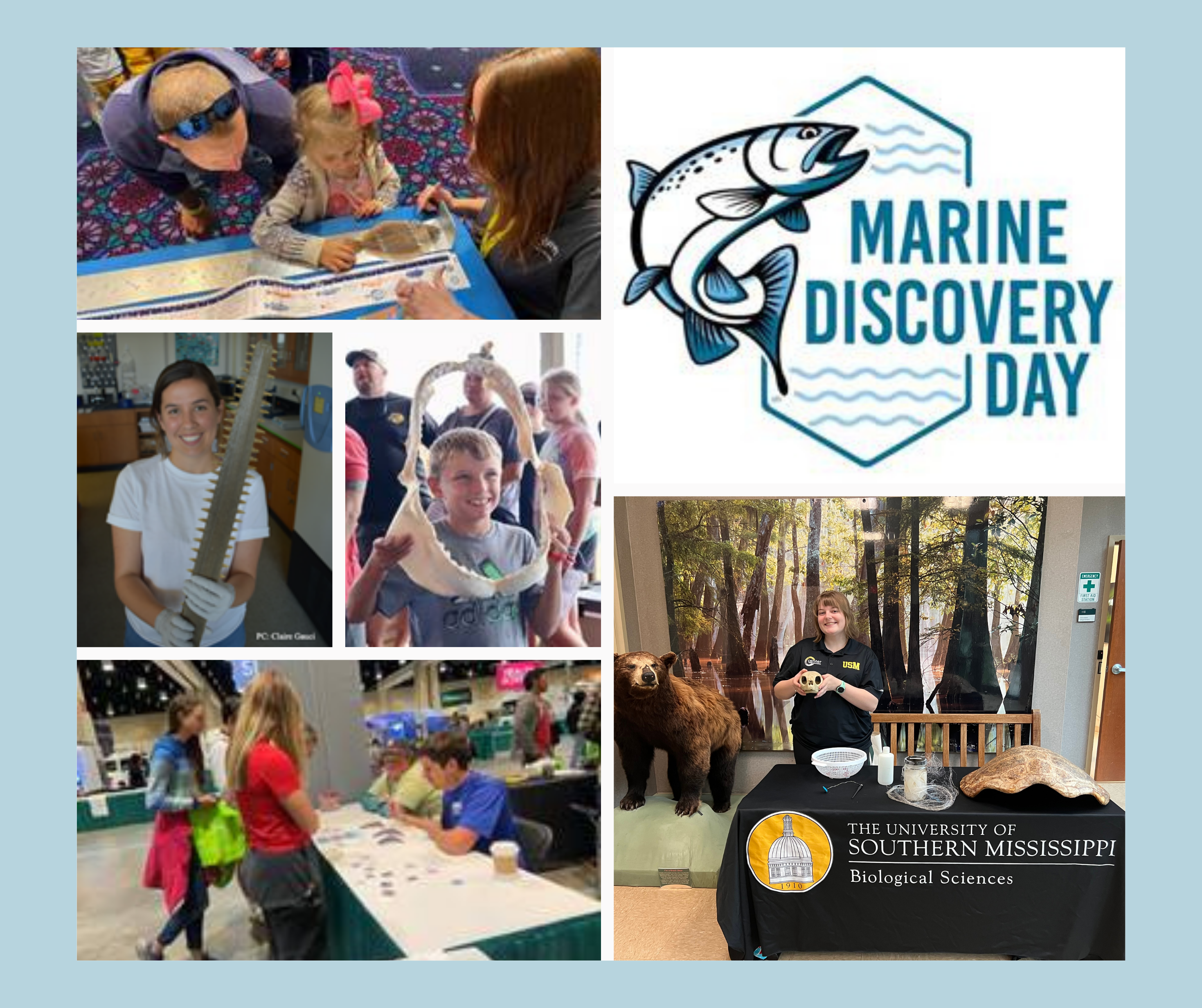 Marine discovery 