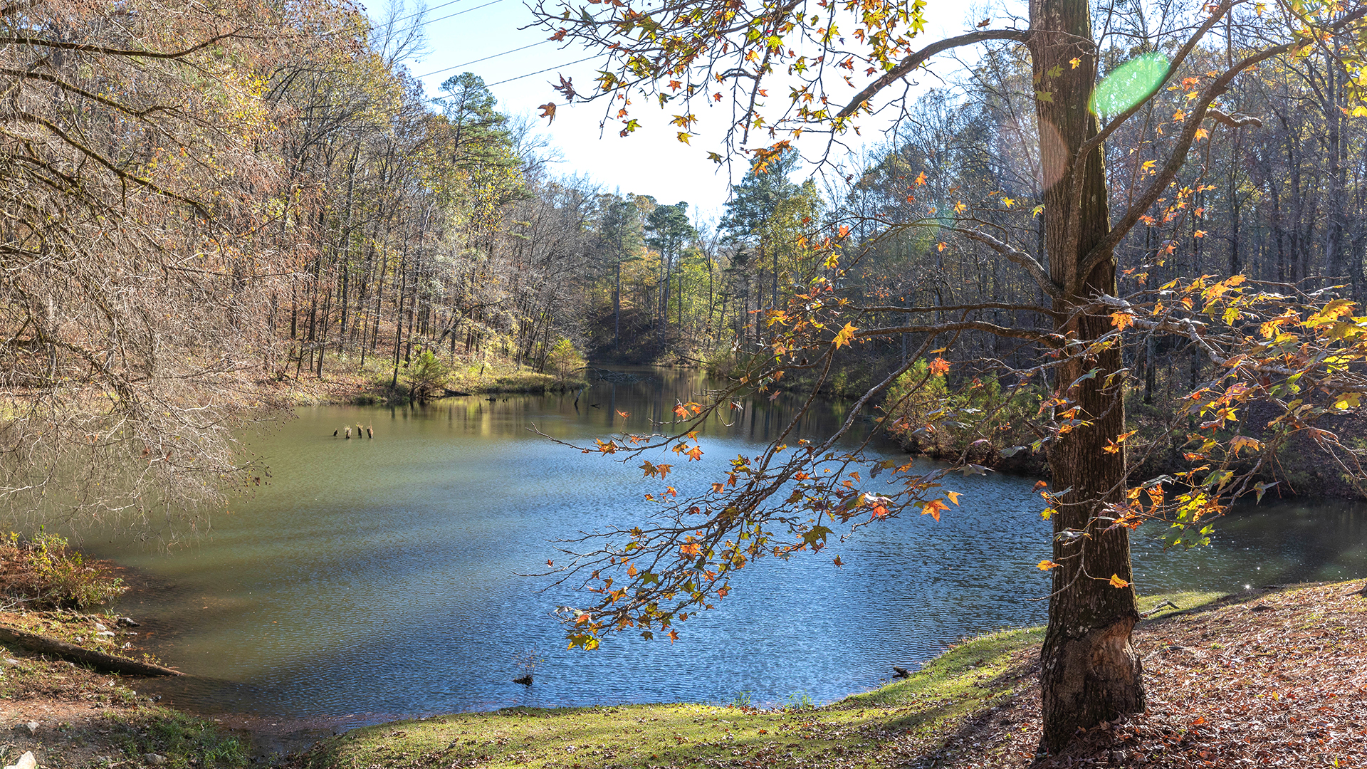 Legion State Park Lake