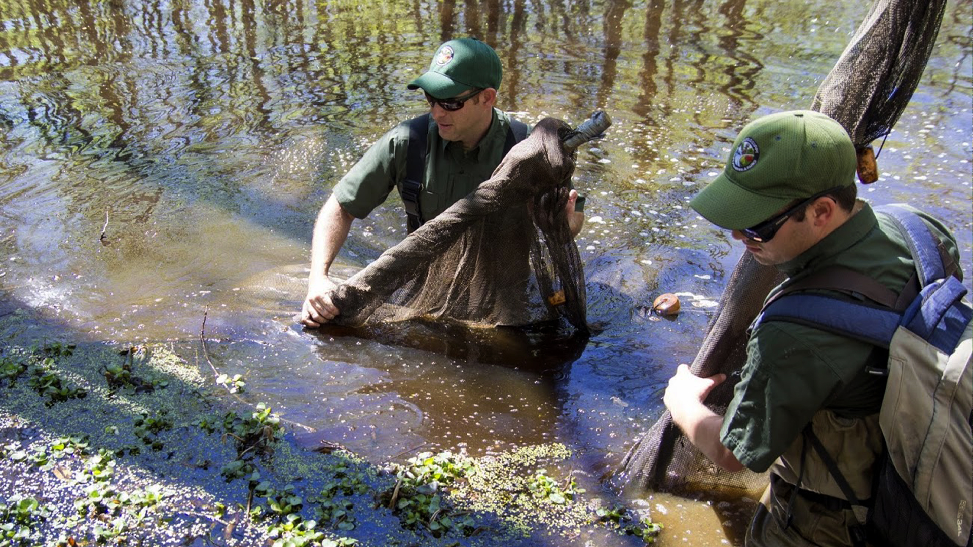 Science, Research, and Collections | Mississippi Department of Wildlife ...