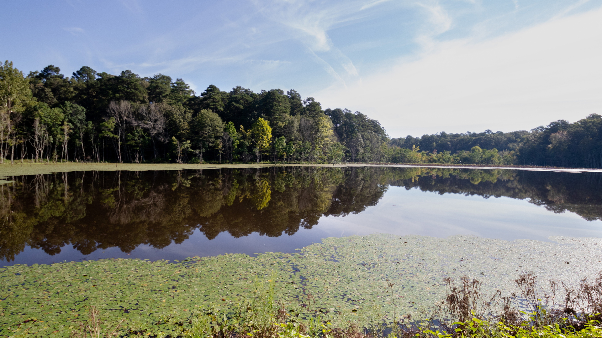 Roosevelt State Park Lake