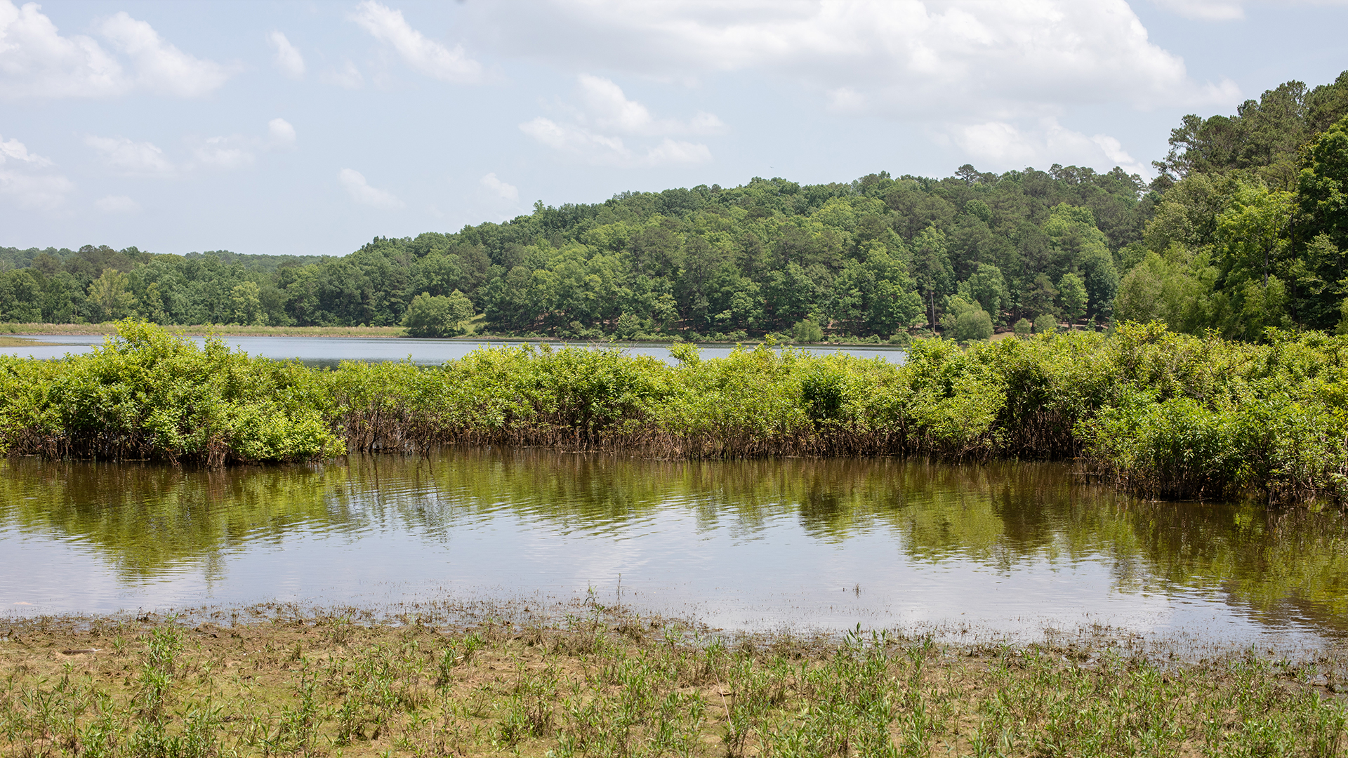 Tishomingo State Park Lake