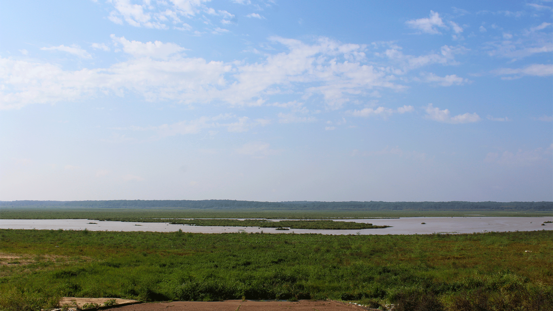 Arkabutla Lake