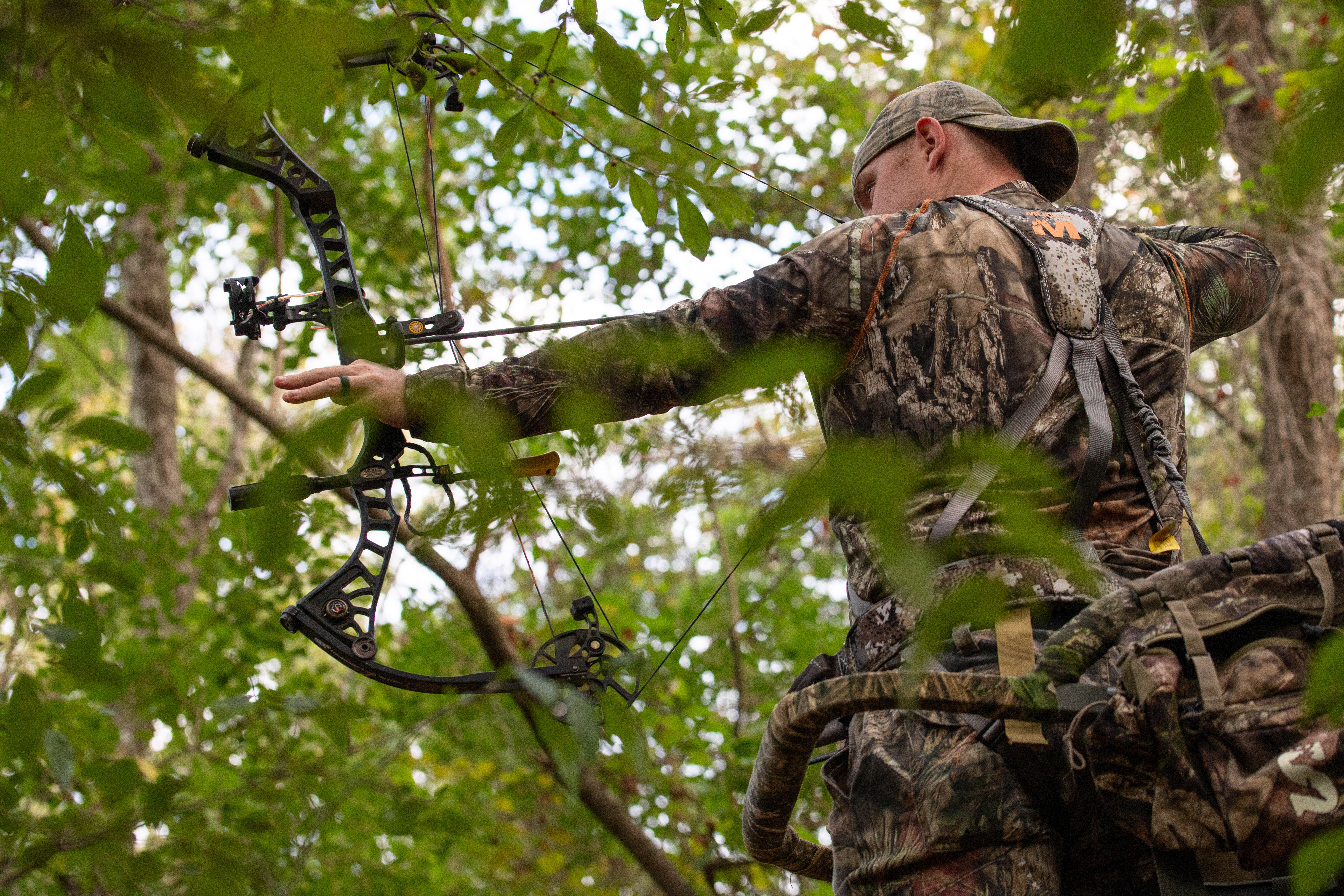 Tree stand