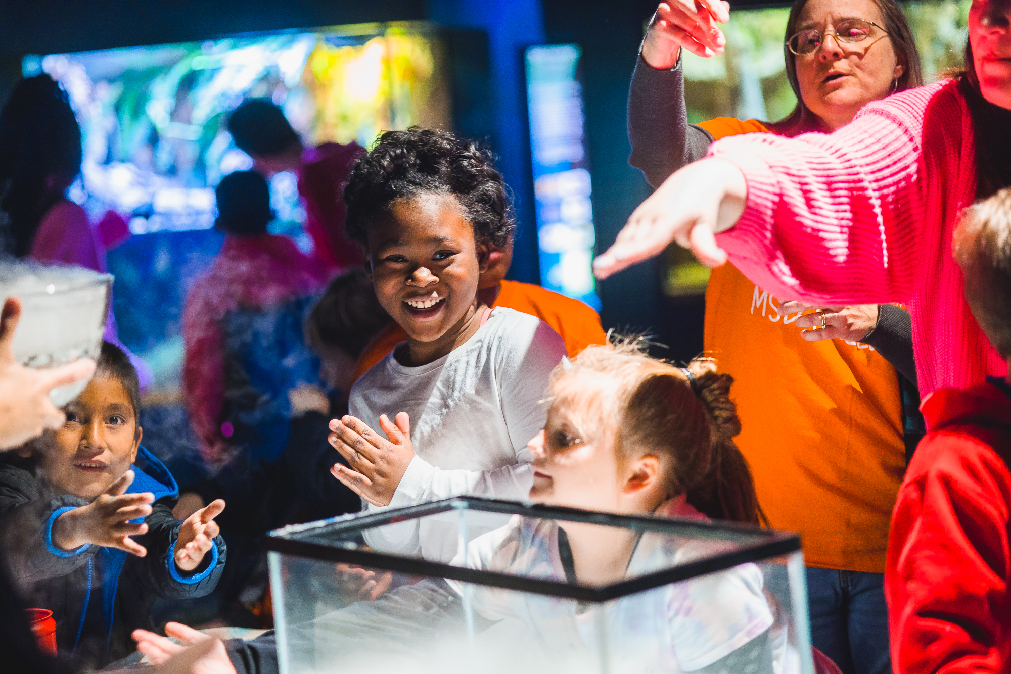 stem with snowflakes at the Mississippi Museum of natural science