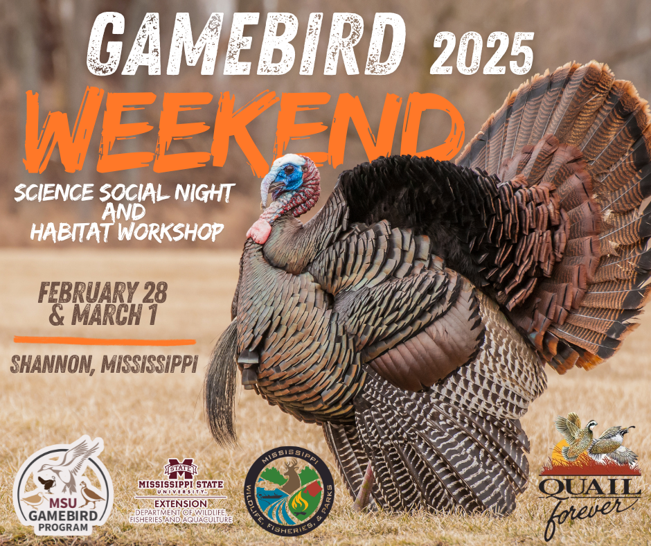 Gamebird Workshop Flyer