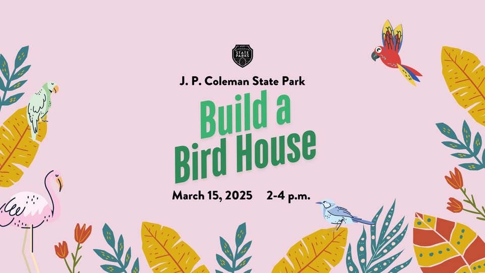 JP Coleman Build a Bird House