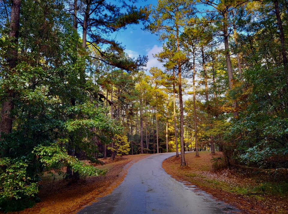 Lefleur's Bluff bird watching hike