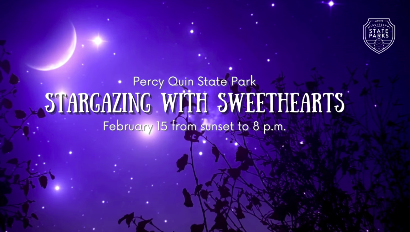 Percy Quin Stargazing with Sweethearts