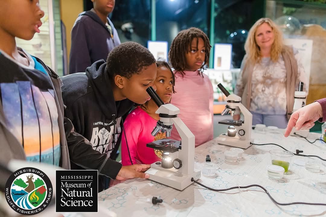 Checking out microscopes at Science Makers