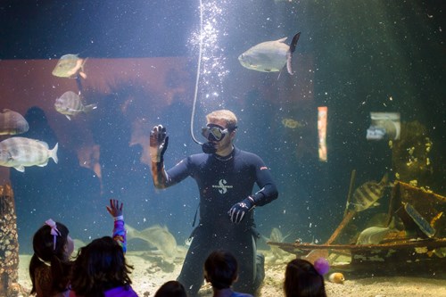 Diver in tank waves to children