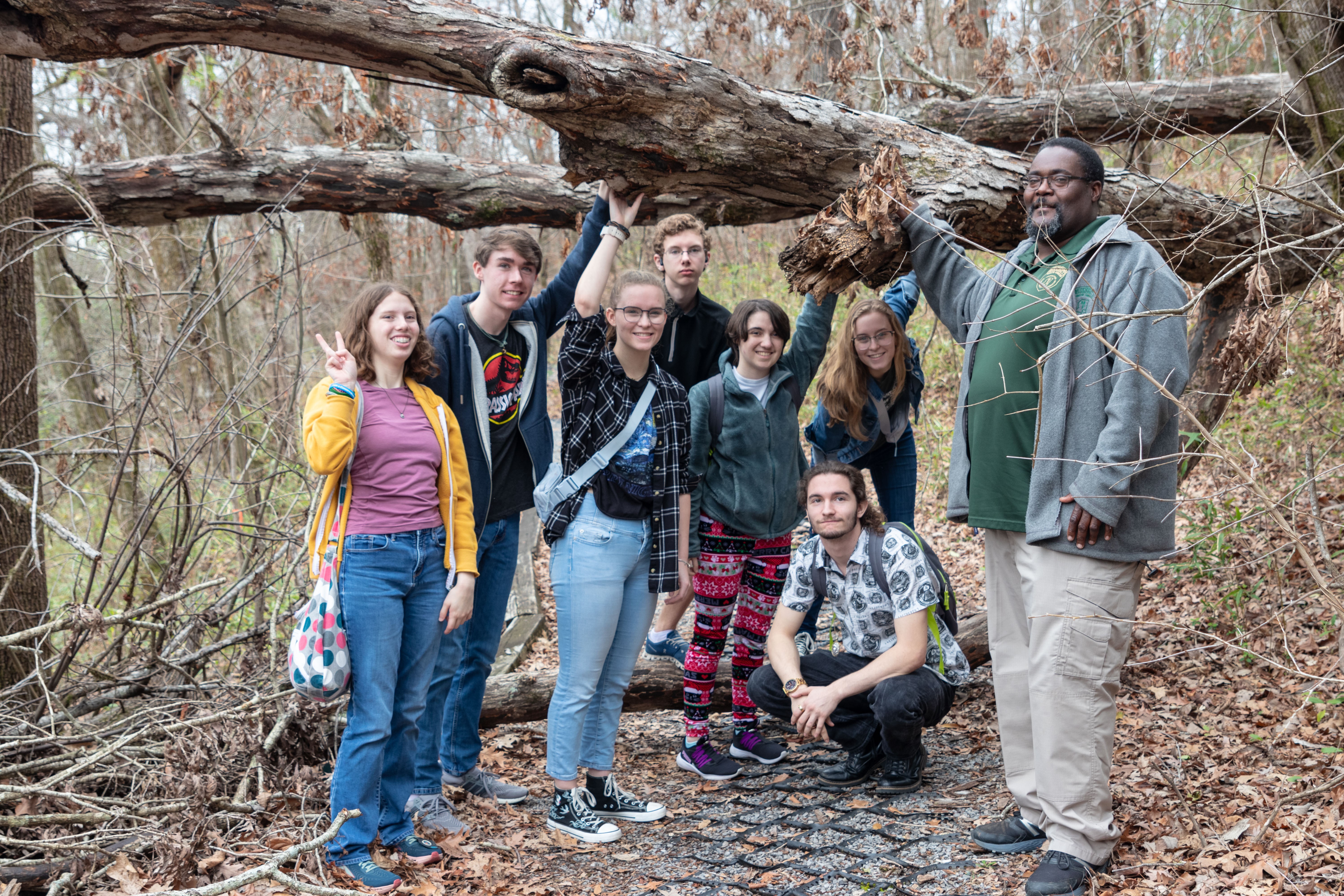 stem leaves and trees event hike