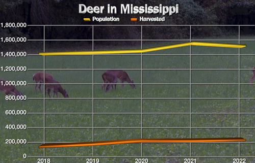 Graph showing the growing deer population in Mississippi versus the number of deer harvested each year
