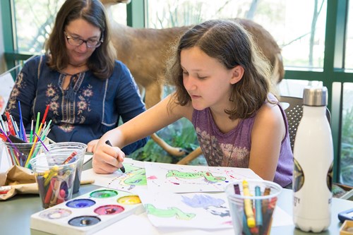 Child does a coloring activity at the Fossil Road Show