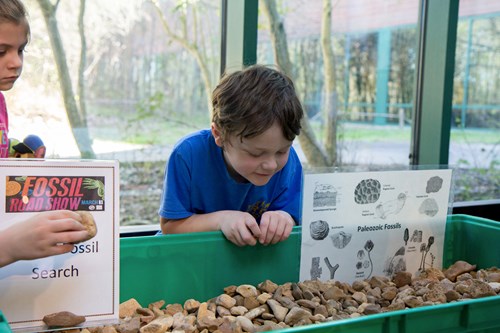 Children look for fossils at the Fossil Search exhibit