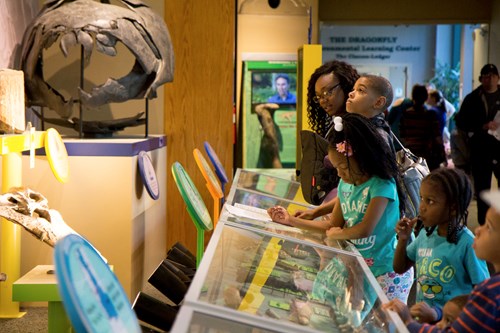 Group of children look at an exhibit at the Fossil Road Show