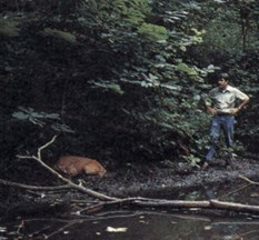 Man observes a deer carcass near a stream