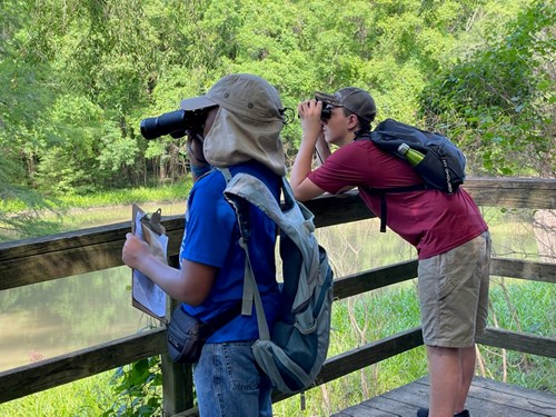 Two young birdwatchers on a viewing platform peer through binoculars