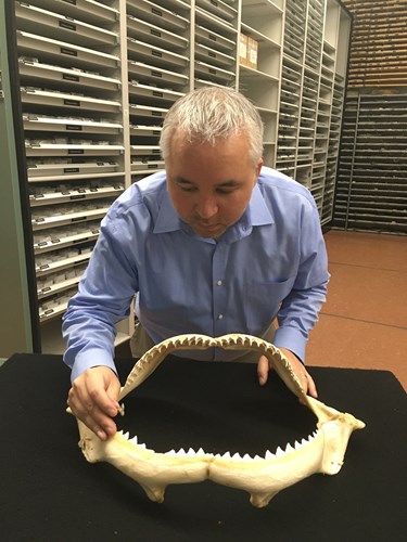 Jun Ebersole, guest speaker at the Fossil Road Show, examines a fossil