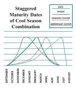 Graph showing staggered maturity dates of a cool season forage combination