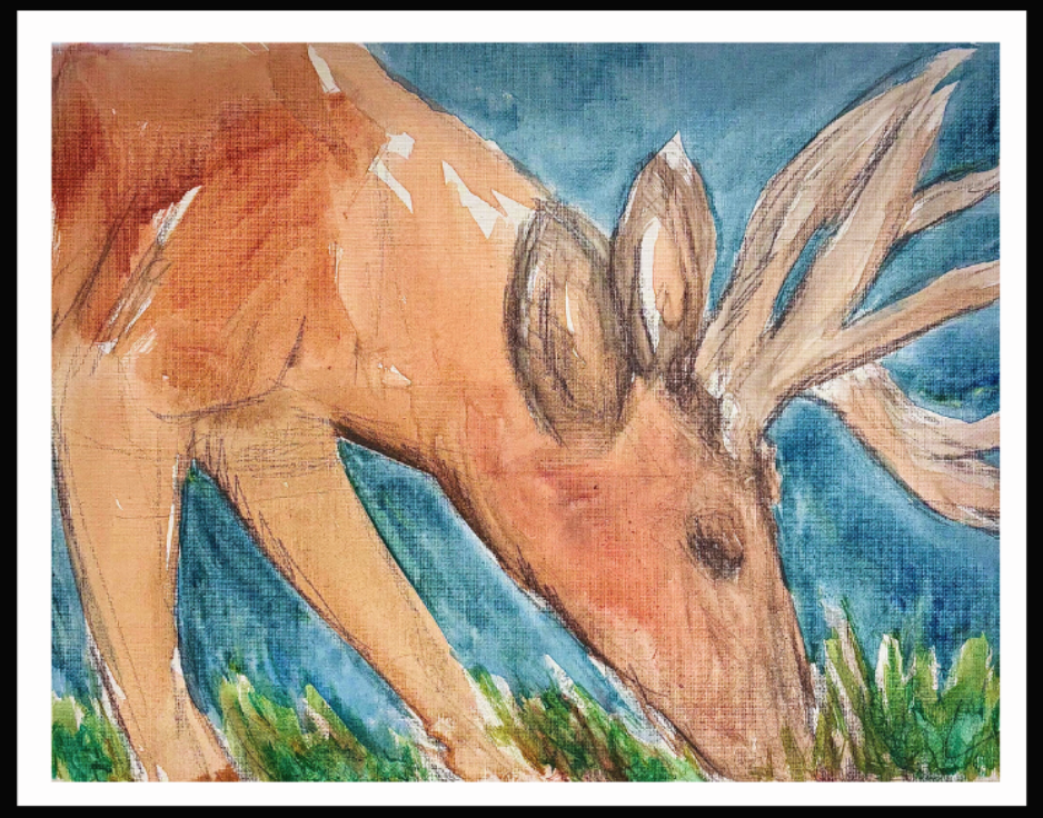 MMNS Wildlife Wonders Paint Class Keri Davis White-Tailed Adventure