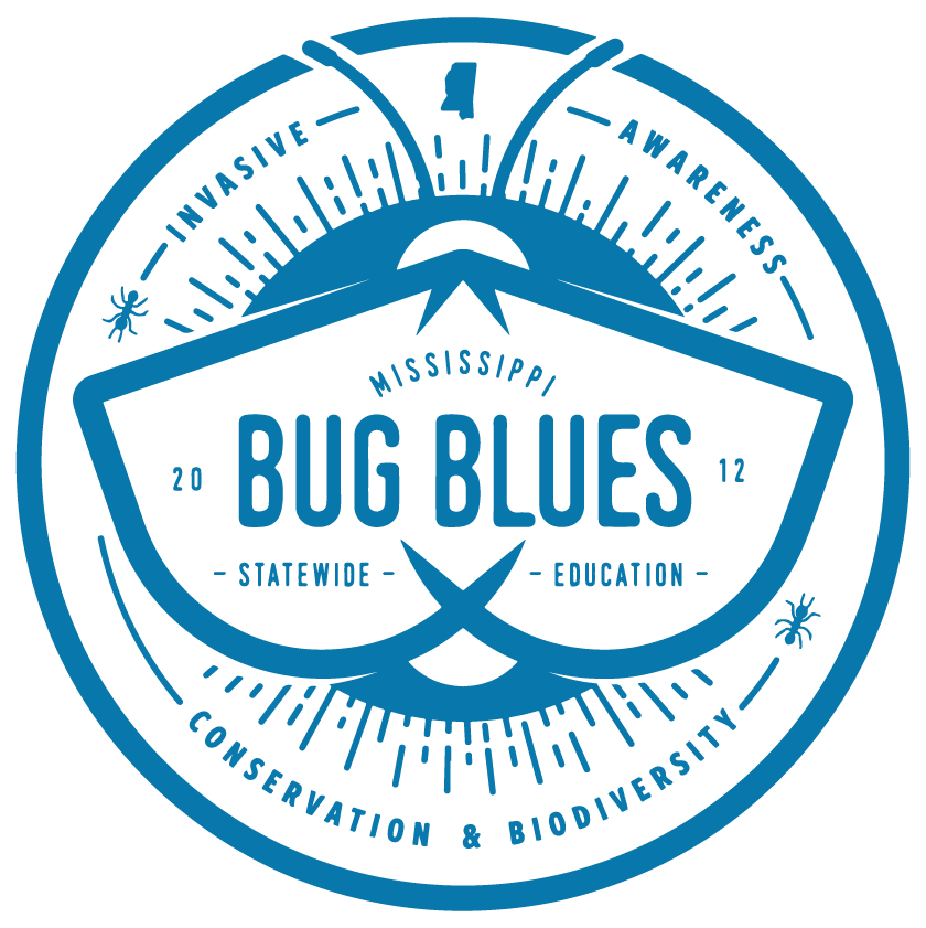 MS Bug blues