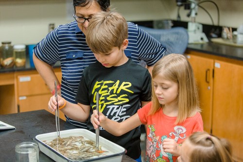 Kids in a lab, observing specimens