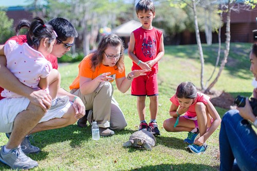 Families gather around a tortoise as an expert talks