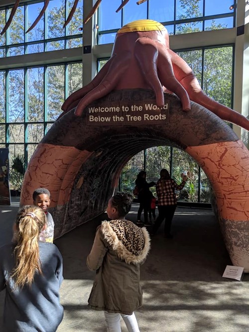 STEM, Leaves, and Trees Event - Tree root balloon inside museum