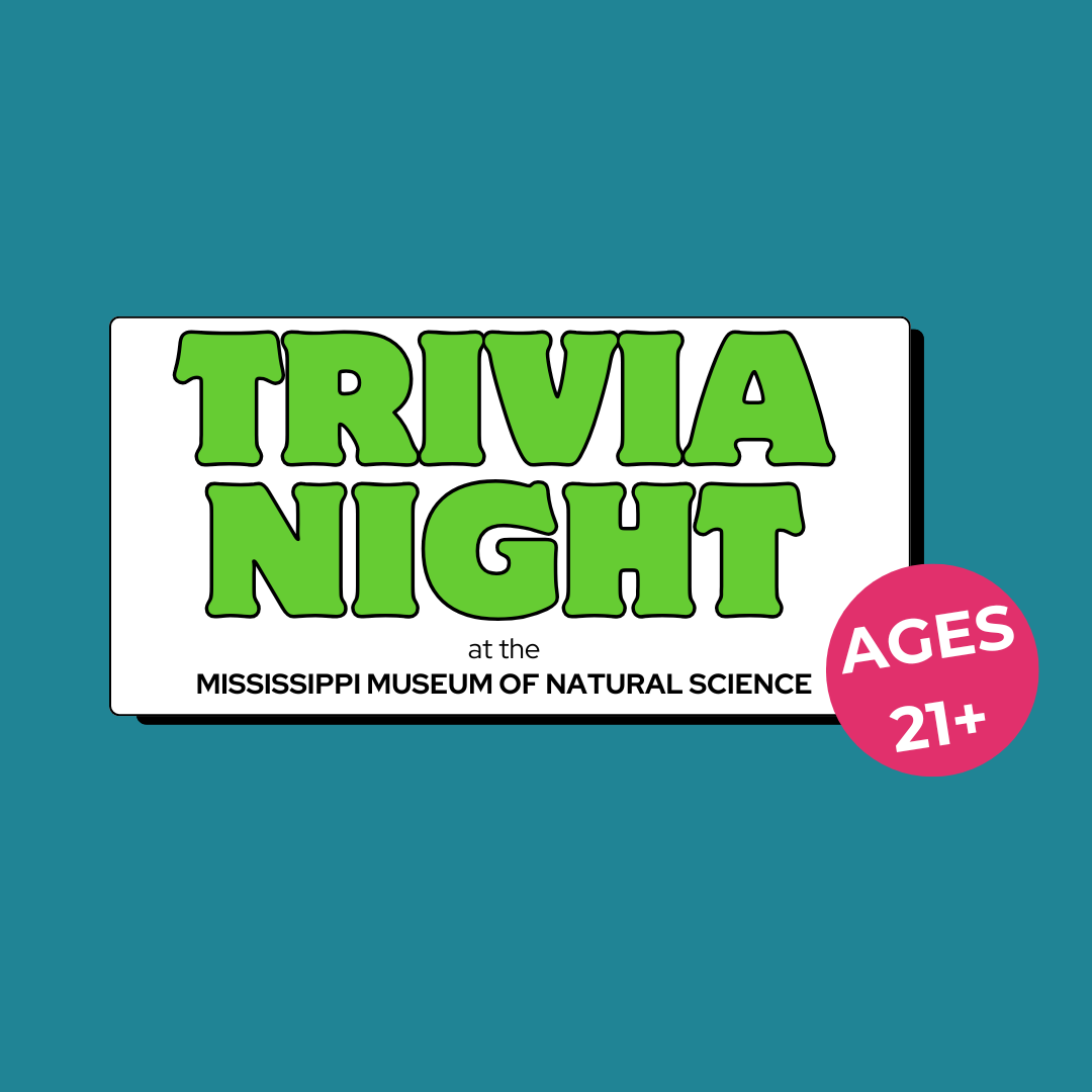 Trivia Night graphic