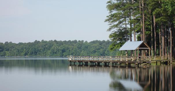 Elvis Presley Lake