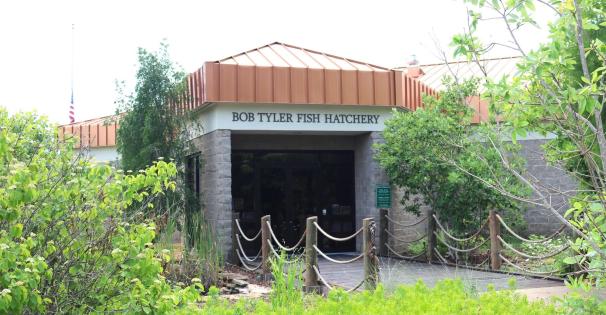 Bob Tyler Fish Hatchery VEC