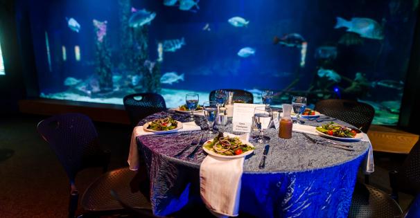 facility rental at the museum